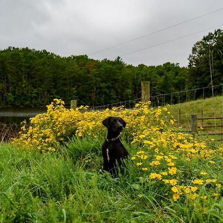Wolf Creek Farm B&B And Motorcycle Manor At Wolf Creek Farm, Llc Ararat Bagian luar foto