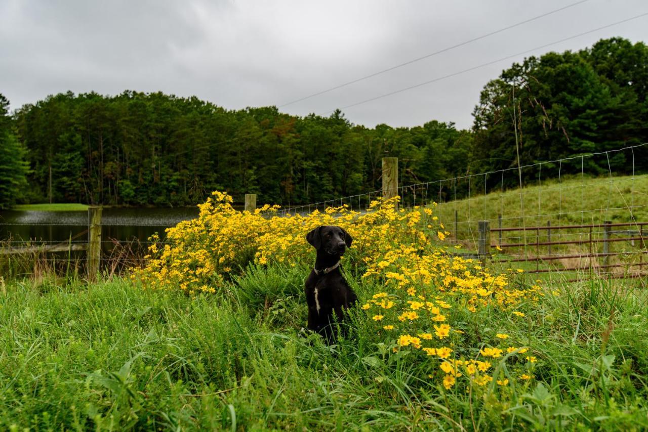 Wolf Creek Farm B&B And Motorcycle Manor At Wolf Creek Farm, Llc Ararat Bagian luar foto
